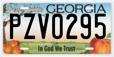 GA license plate PZV0295