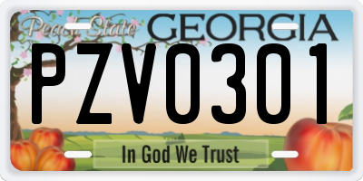 GA license plate PZV0301