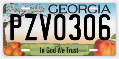 GA license plate PZV0306