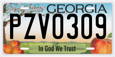 GA license plate PZV0309