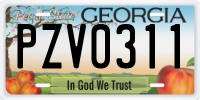 GA license plate PZV0311