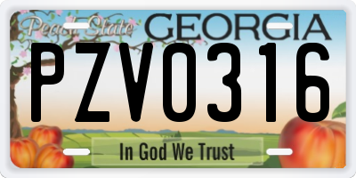 GA license plate PZV0316