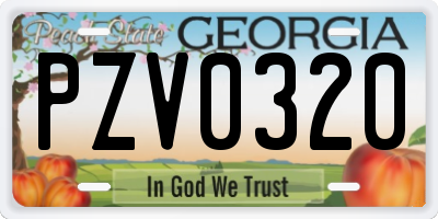 GA license plate PZV0320