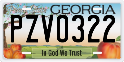 GA license plate PZV0322