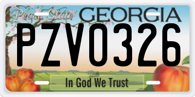 GA license plate PZV0326