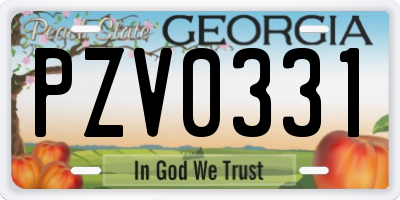 GA license plate PZV0331
