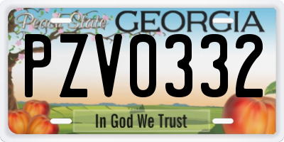 GA license plate PZV0332