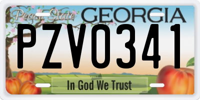 GA license plate PZV0341