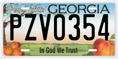 GA license plate PZV0354