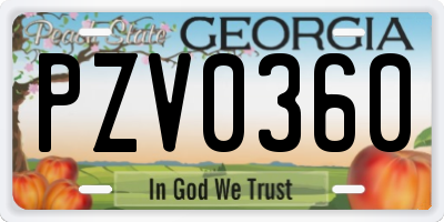 GA license plate PZV0360
