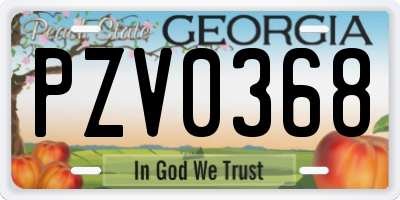 GA license plate PZV0368