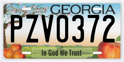 GA license plate PZV0372