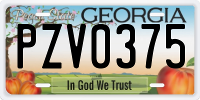 GA license plate PZV0375