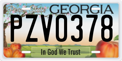 GA license plate PZV0378
