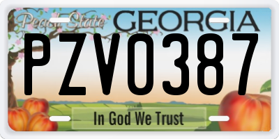 GA license plate PZV0387