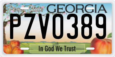 GA license plate PZV0389
