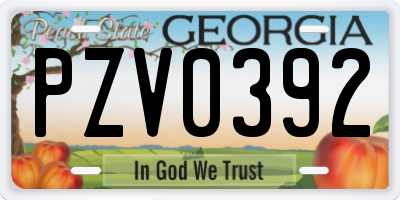 GA license plate PZV0392