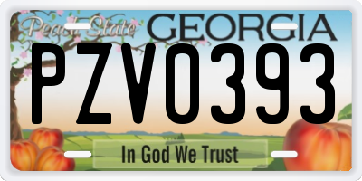 GA license plate PZV0393