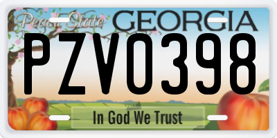 GA license plate PZV0398