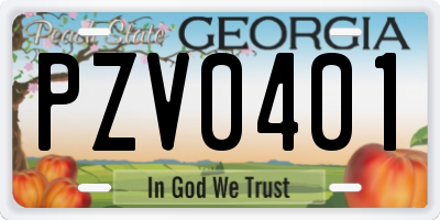 GA license plate PZV0401