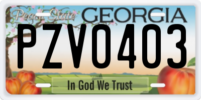 GA license plate PZV0403