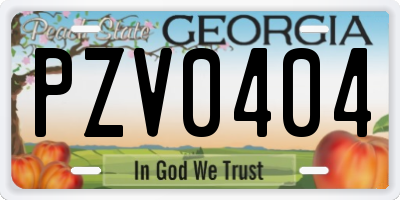 GA license plate PZV0404