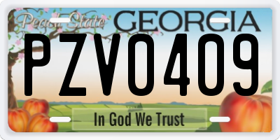 GA license plate PZV0409