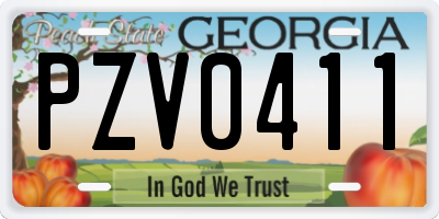 GA license plate PZV0411