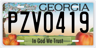 GA license plate PZV0419