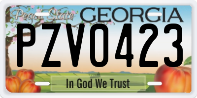 GA license plate PZV0423