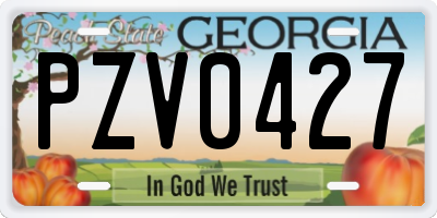 GA license plate PZV0427