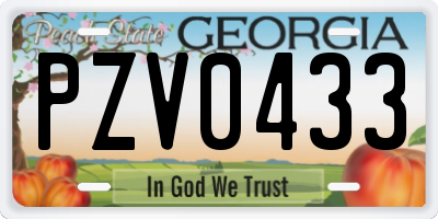 GA license plate PZV0433