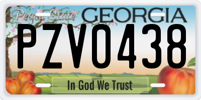GA license plate PZV0438