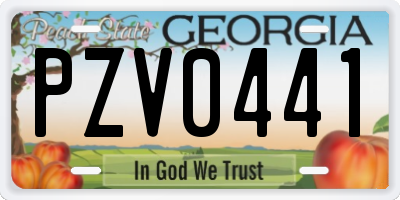 GA license plate PZV0441