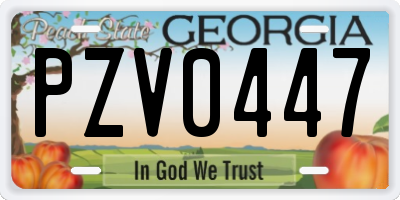 GA license plate PZV0447