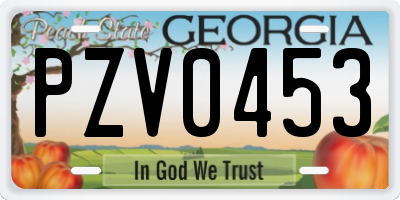 GA license plate PZV0453