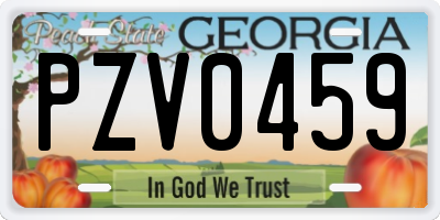 GA license plate PZV0459