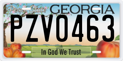 GA license plate PZV0463