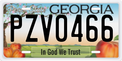 GA license plate PZV0466