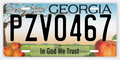 GA license plate PZV0467