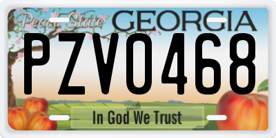 GA license plate PZV0468