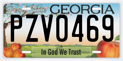 GA license plate PZV0469