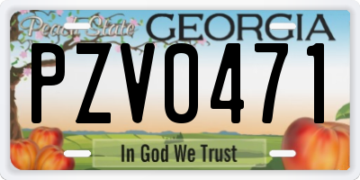 GA license plate PZV0471