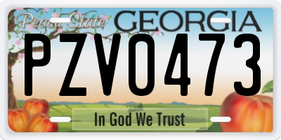 GA license plate PZV0473