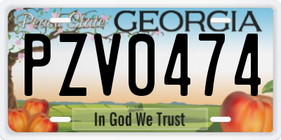 GA license plate PZV0474