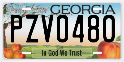 GA license plate PZV0480
