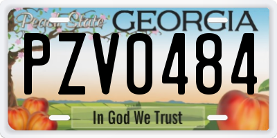 GA license plate PZV0484