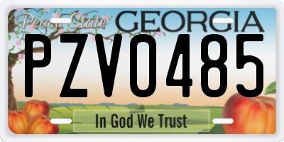 GA license plate PZV0485