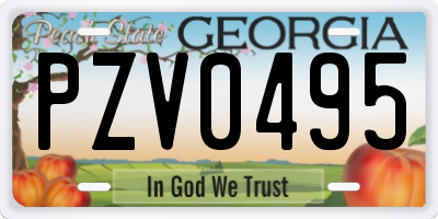GA license plate PZV0495