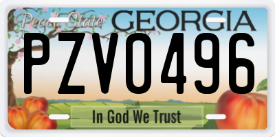 GA license plate PZV0496